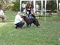 img 084
